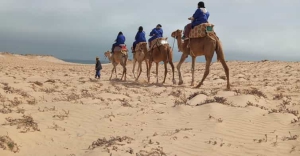 День Вади-эд-Дахаб-эль-Кувира (Марокко)