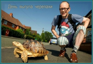 День выгула черепахи (США)