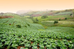 Арина - «урви берега»