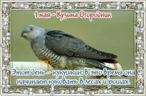 Кузьма Огородник