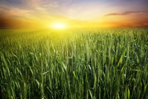 Устин - Брусничные губы