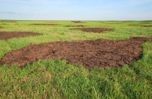 Федор Колодезник