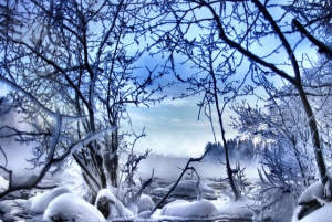 Иван-бражник