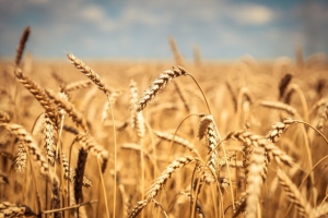 Силуан и Сила