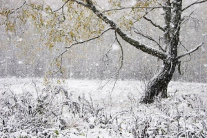 Иванов день, Проводы осени