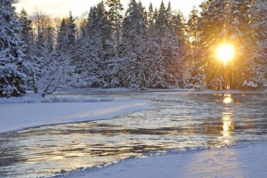 Никита – пожарник