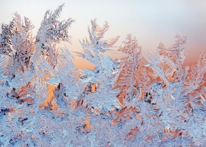 Никола Студеный