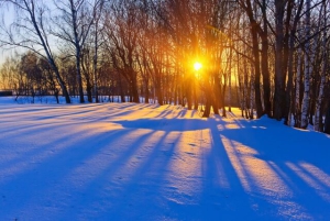 День Панкратия