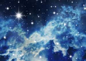 Онисим Овчарник