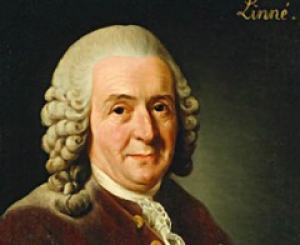 Карл Линней
