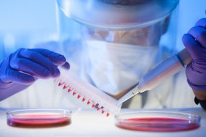 Георгий Гаузе