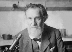 Илья Мечников