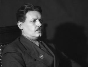 Николай Цицин