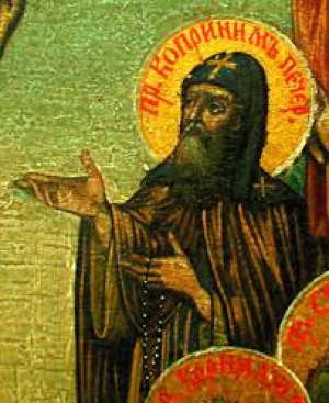 Коприй Печенгский, Вологодский