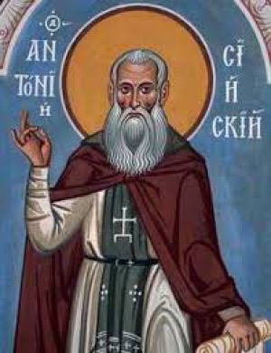 Антоний Сийский
