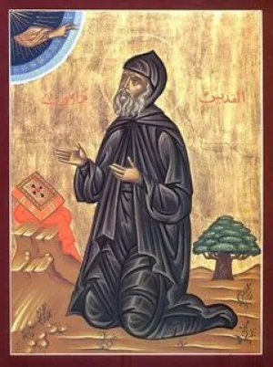 Акепсим Антиохийский, Сирийский, отшельник