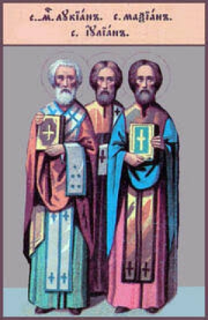 Максиан Бельгийский