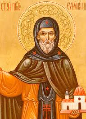 Евфимий Новый, Солунский (Фессалоникийский)