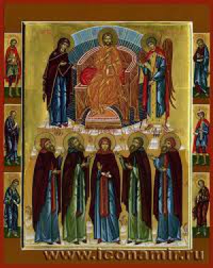 Поплий Сирийский