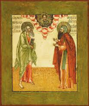 Варлаам Пинежский, Важский, Шенкурский