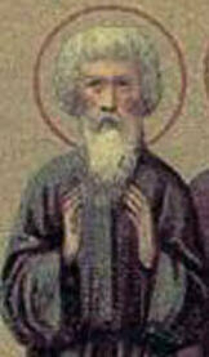 Зевин Сирийский, пустынник