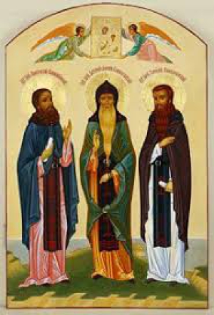 Авксентий Перцовский, Вологодский