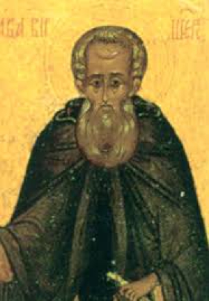 Савва Вишерский, Новгородский